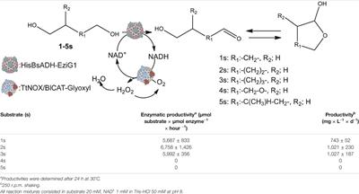 Immobilization Screening and Characterization of an Alcohol Dehydrogenase and its Application to the Multi-Enzymatic Selective Oxidation of 1,-Omega-Diols